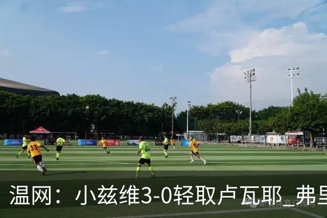 温网：小兹维3-0轻取卢瓦耶 弗里茨贝雷蒂尼挺进32强