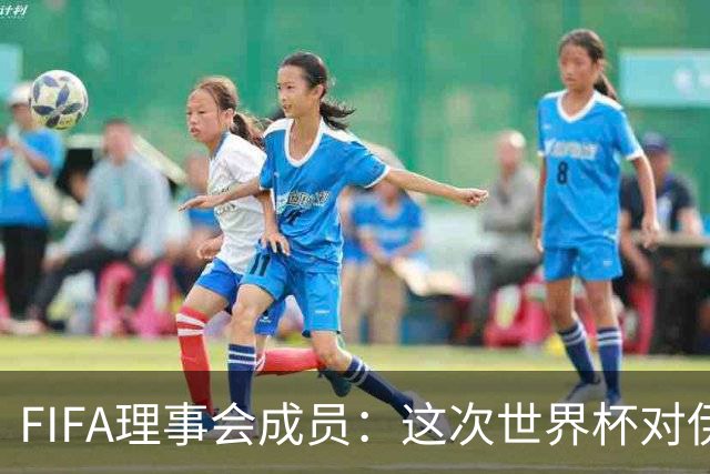 FIFA理事会成员：这次世界杯对伊朗太不公平，政治问题太敏感了
