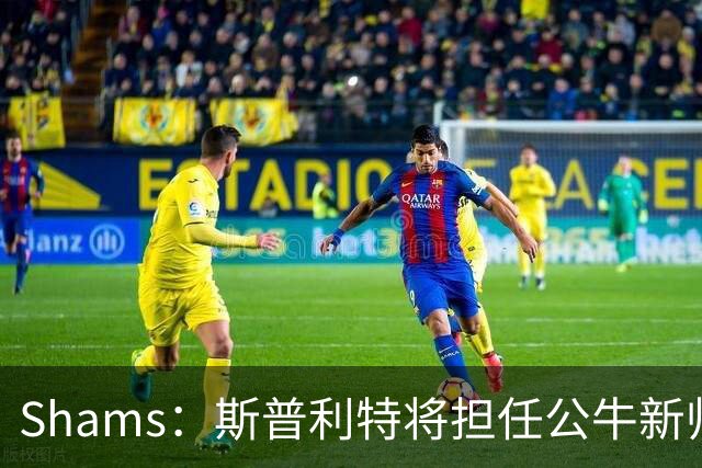 Shams：斯普利特将担任公牛新帅 上赛季率开拓者获西部第七
